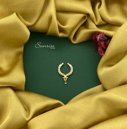 FANCY SEPTUM NOSE PIN