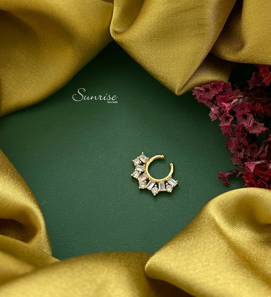 FANCY SEPTUM NOSE PIN