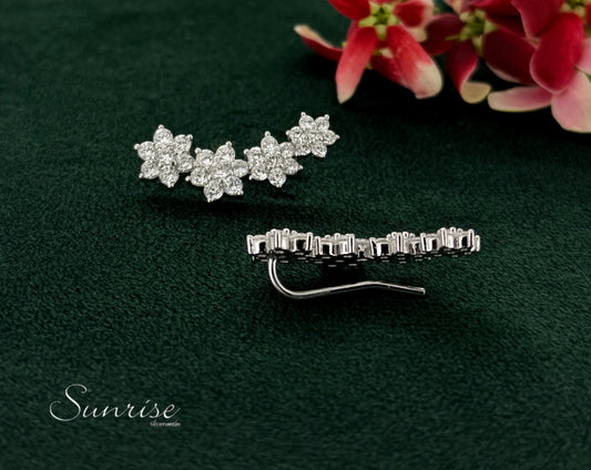 NAKSHATRA EARCLIPS
