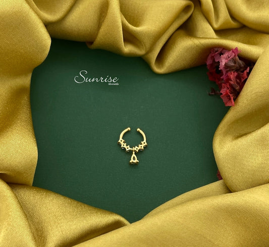 FANCY SEPTUM NOSE PIN