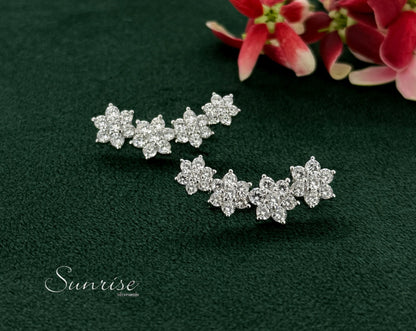 NAKSHATRA EARCLIPS