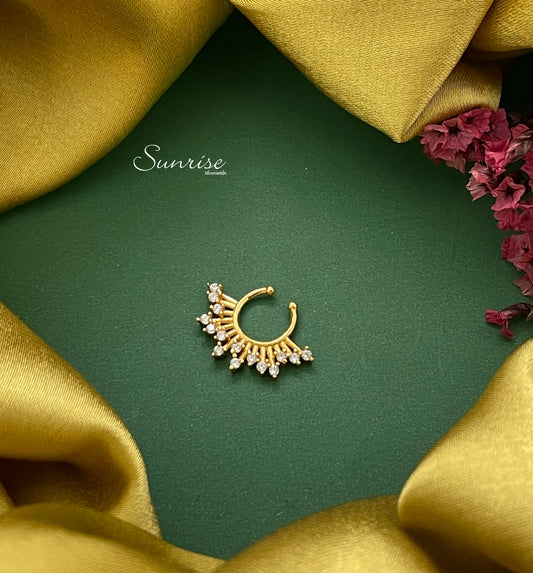 FANCY SEPTUM NOSE PIN