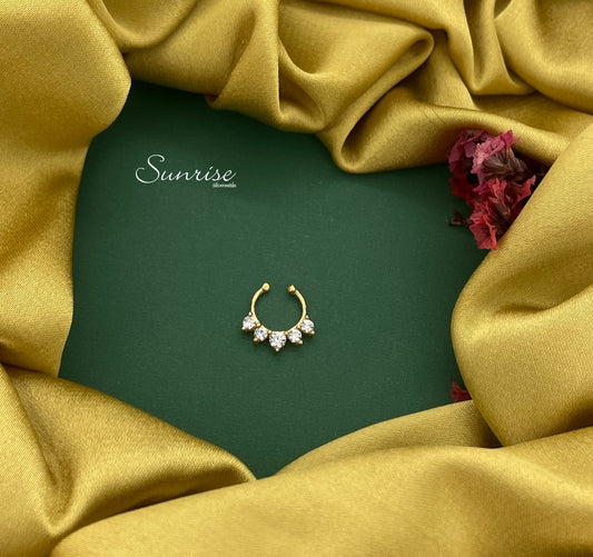 FANCY SEPTUM NOSE PIN