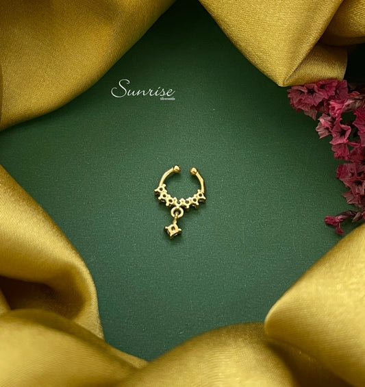 FANCY SEPTUM NOSE PIN
