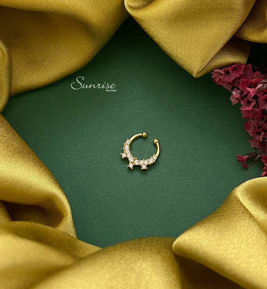 FANCY SEPTUM NOSE PIN